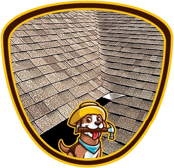 SALTY DOG ROOFING BADGE 2