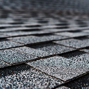 SALTY DOG ROOFING IL