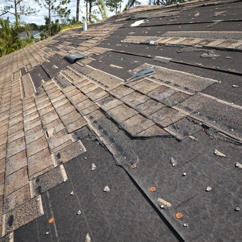 SALTY DOG ROOFING SIDING ROOF REPLACEMENT 3
