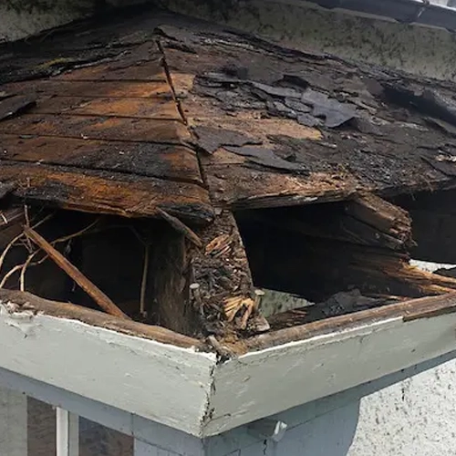 SALTY DOG ROOFING SIDING ROOF REPLACEMENT 5
