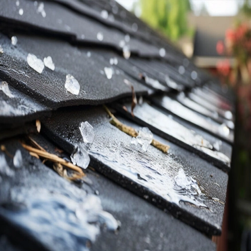 SALTY DOG ROOFING SIDING Storm Damage Hail