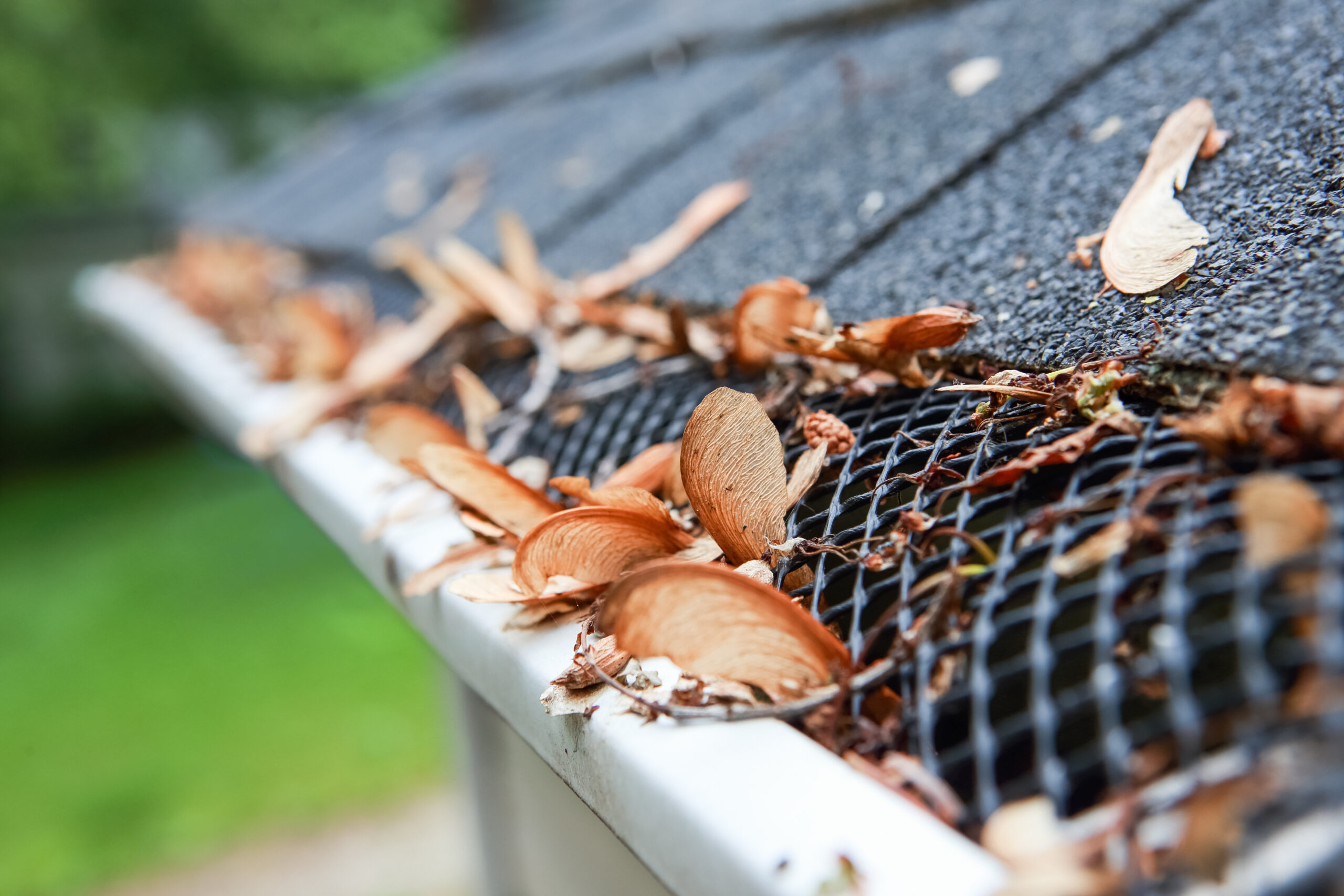 Gutter Guard with Debris Buildup