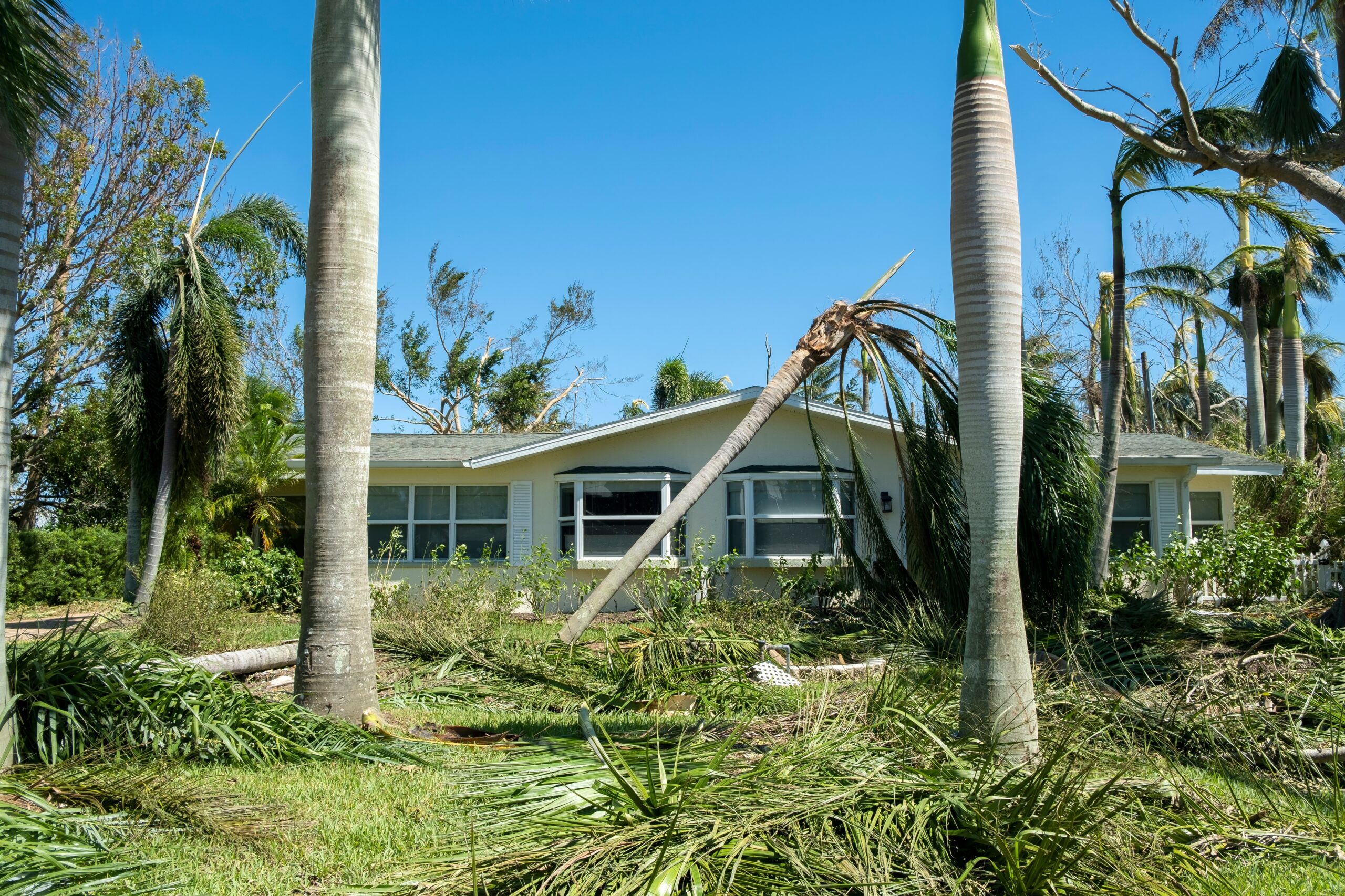 Coastal home with fallen palm trees and debris, showing the importance of preparing your roof for hurricane season with Salty Dog.