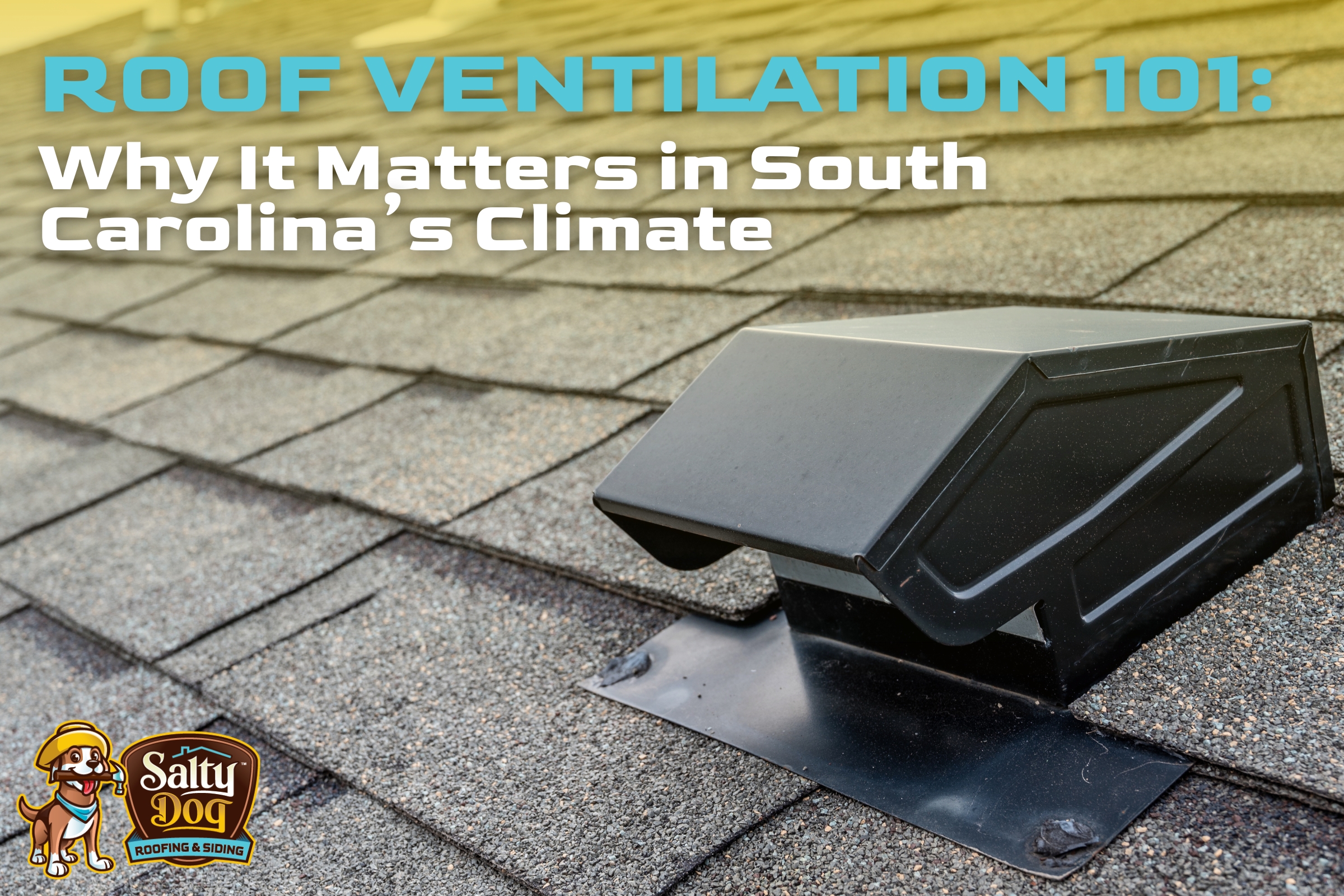 Close-up of a roof vent installed on asphalt shingles under bright sunlight.