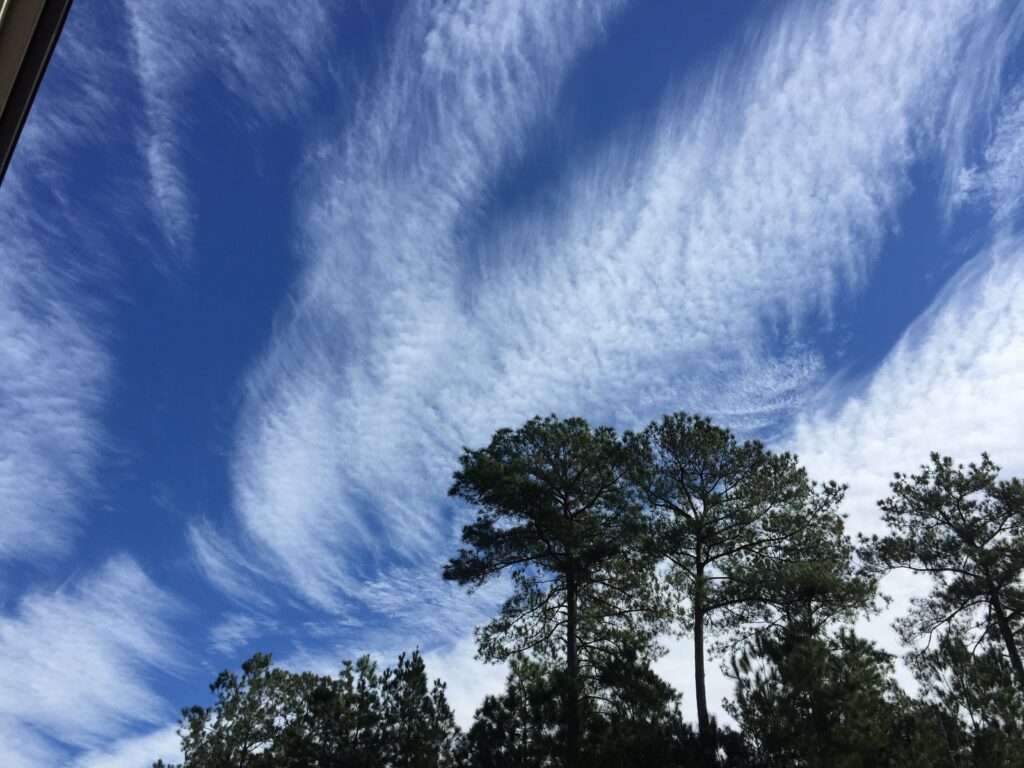 Cloud-streaked blue sky above tall pine trees in Goose Creek, SC, used for Salty Dog Roofing & Siding.