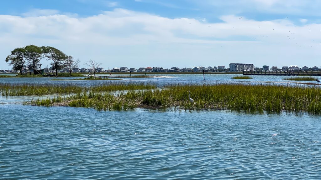 Murrells Inlet, SC waterfront community where Roofing Pups provides expert roofing and siding services for local homeowners